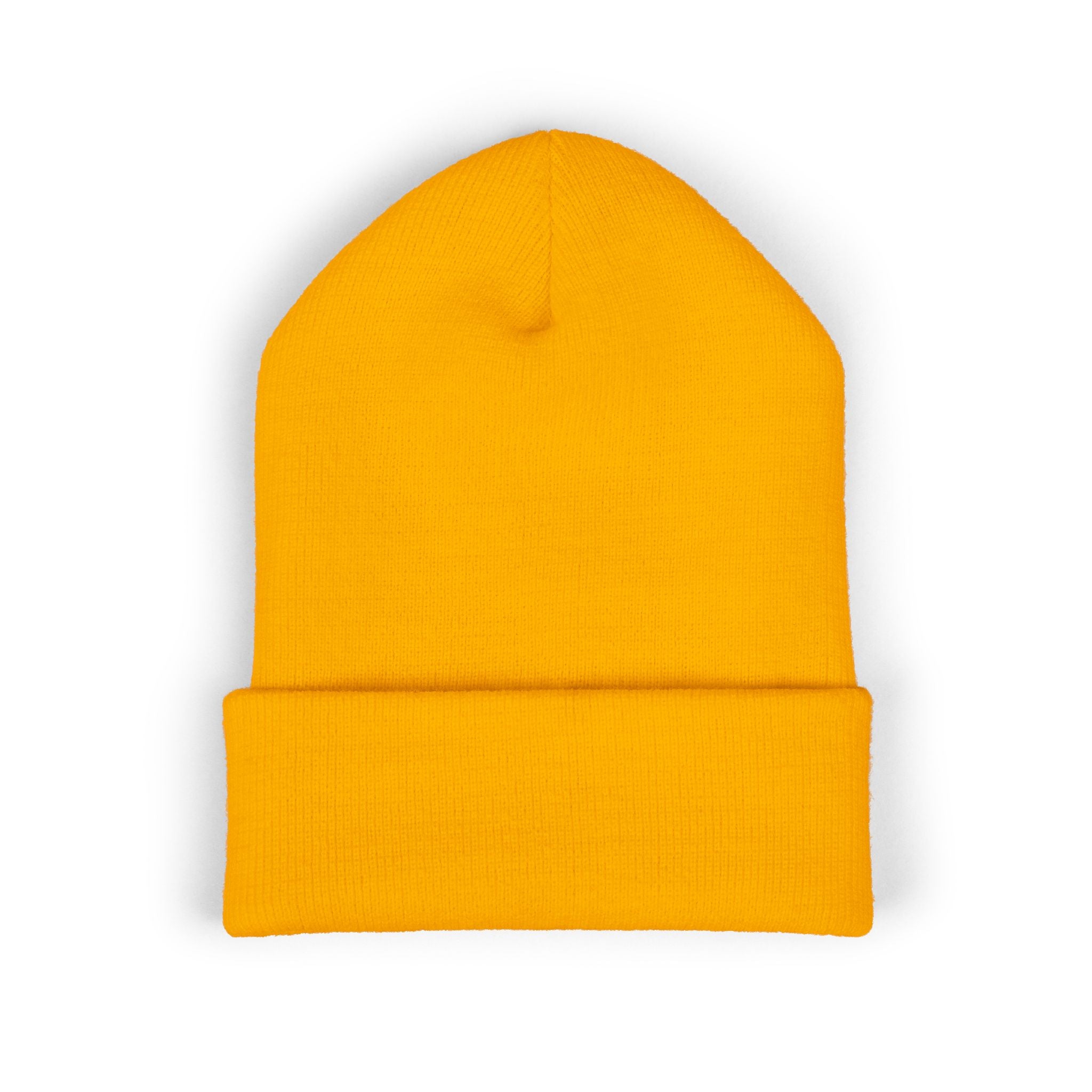Embroidered 'PL2M' ( Parkinson's Looks Like Me) Cuffed Beanie - Classic Knit Winter Hat